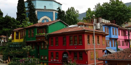 Bursa